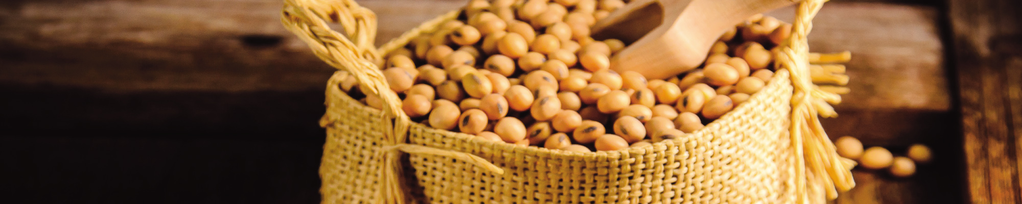 h_soybean2