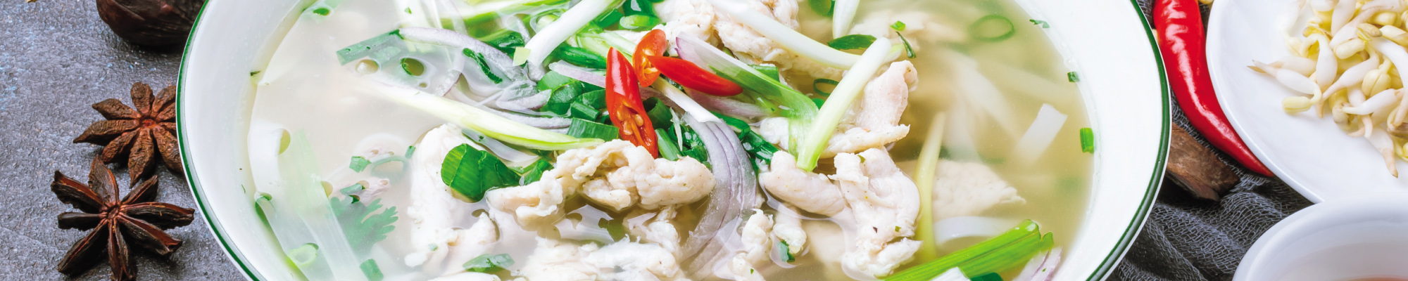 h_vifonvietnamese2